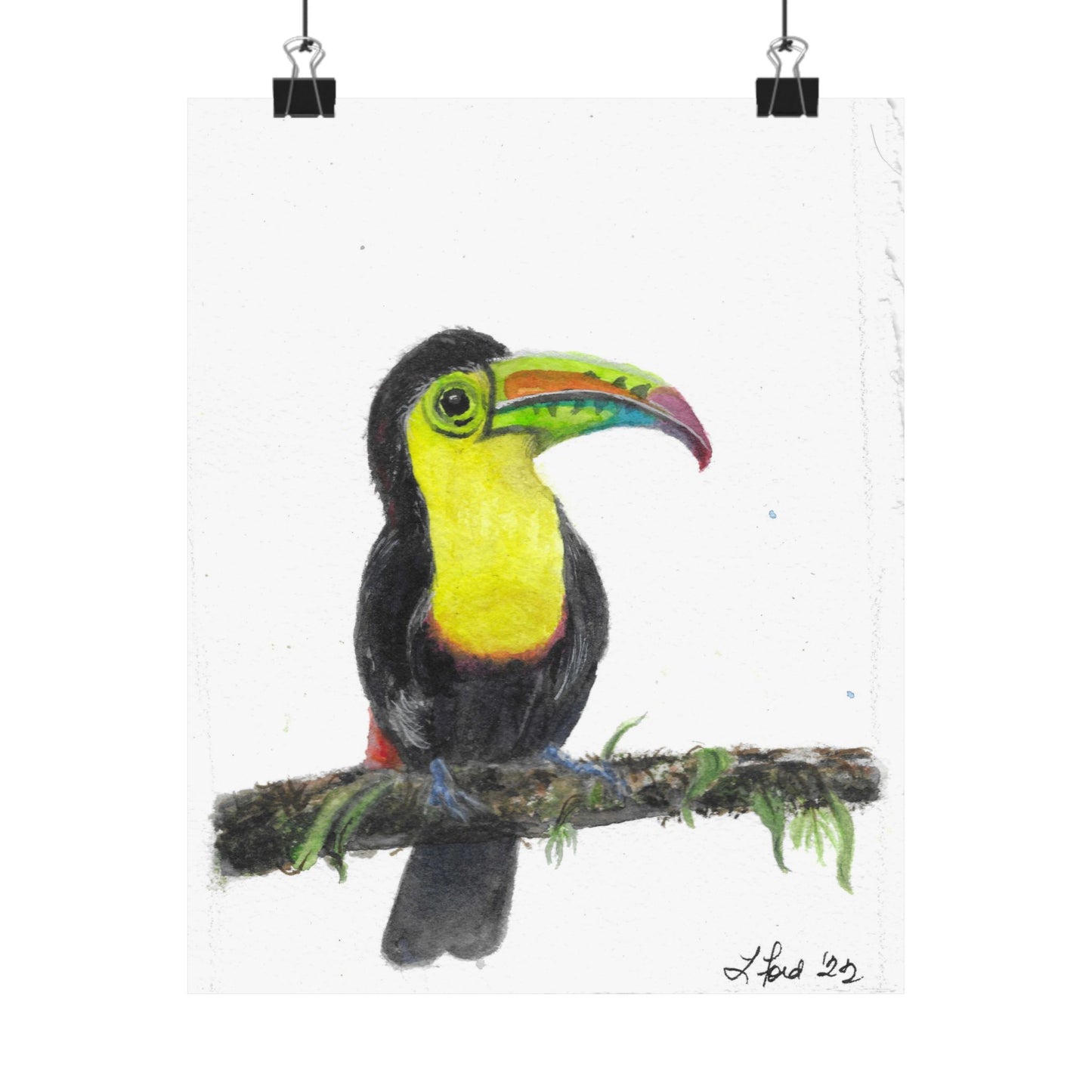 Toucan Art Poster | Colorful Tropical Bird Matte Print