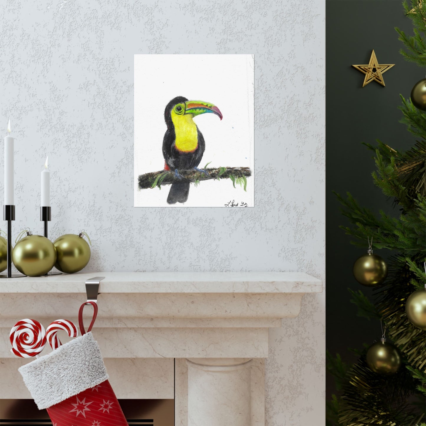 Toucan Art Poster | Colorful Tropical Bird Matte Print